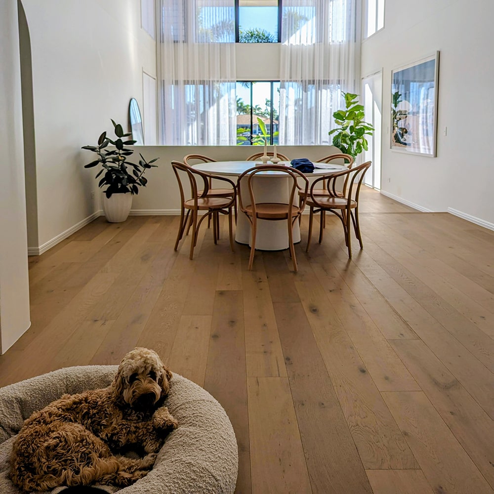 high wall painting services min Nice and Smooth Painting company Noosa high wall painting services min Nice and Smooth Painting company Noosa