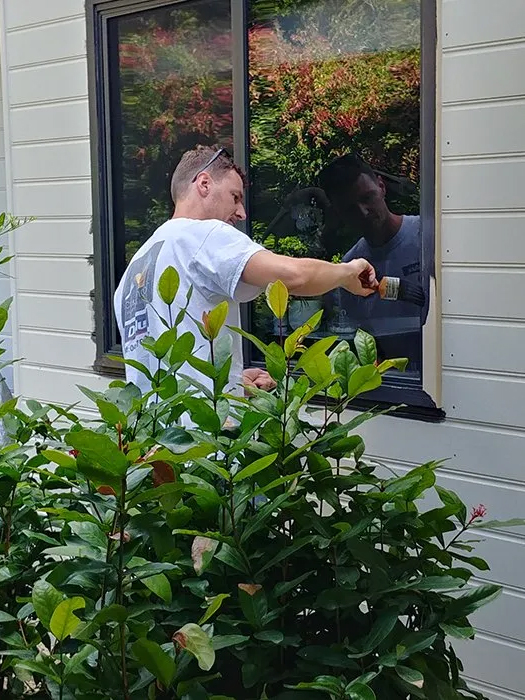 Nice and smooth painting company in Noosa outside exterior painters